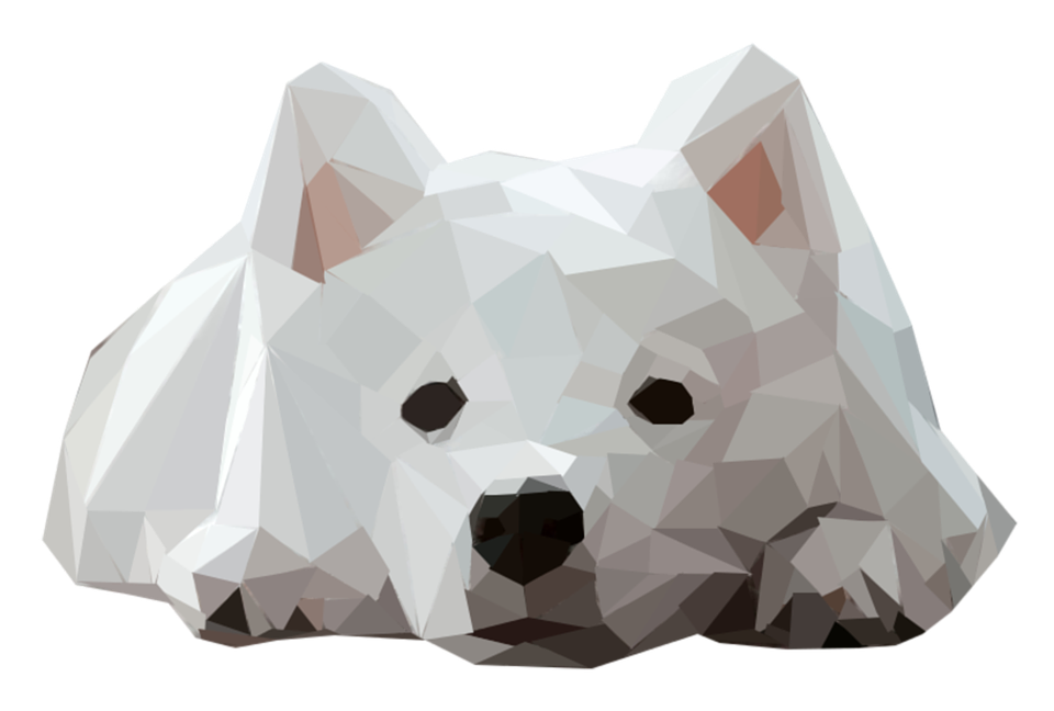 a white dog