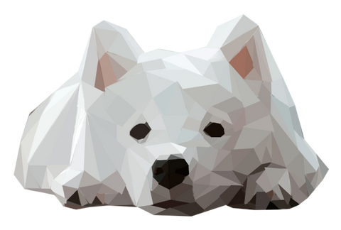 a white dog